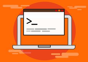 九游官网入口活动-青少年比赛引入技术监测系统保障公平，2020年青少年比赛